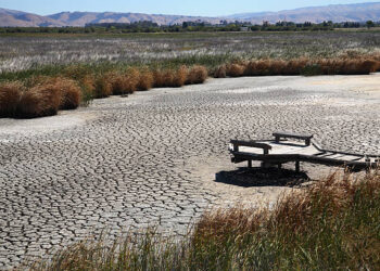 Asia Faces Record Heat Wave in 2020: UN