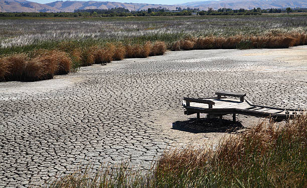 Asia Faces Record Heat Wave in 2020: UN