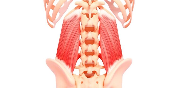 Quadratus Lumborum Massage