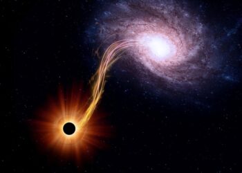 An Introductory Enquiry into Rotating and Charged Black Holes